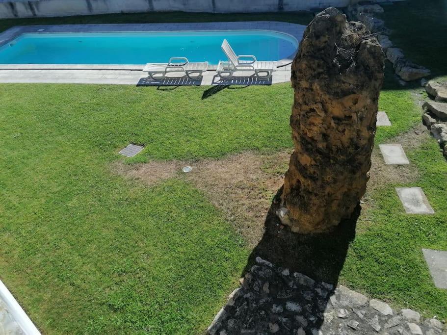Amazing Lodge By The Ocean - Fully Equipped! Ericeira Exterior foto